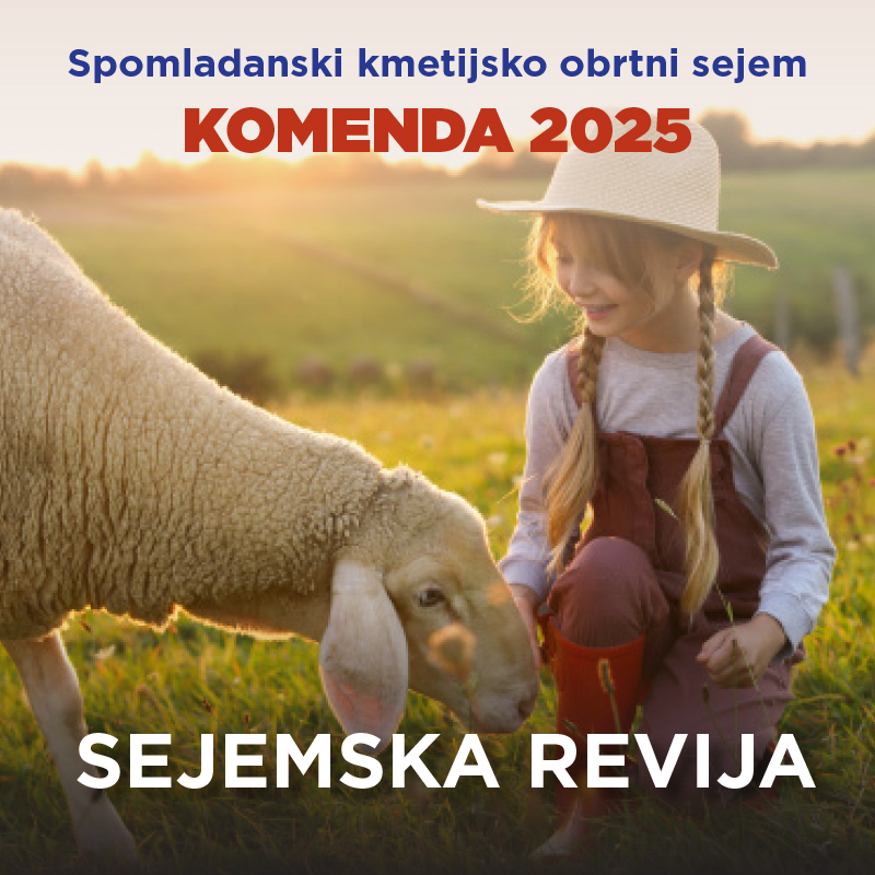 SEJEMSKA REVIJA POMLAD 2025