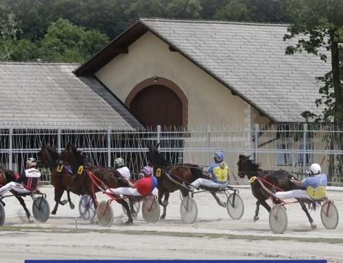 Koledar kasaških dirk