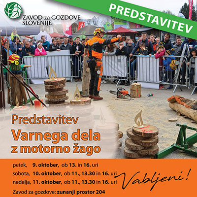 PREDSTVAITEV VARNEGA DELA Z MOTORNO ŽAGO
