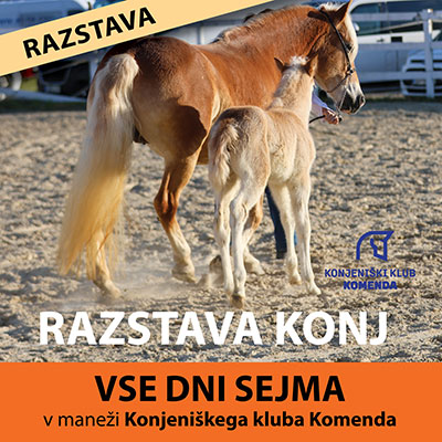 RAZSTAVA KONJ
